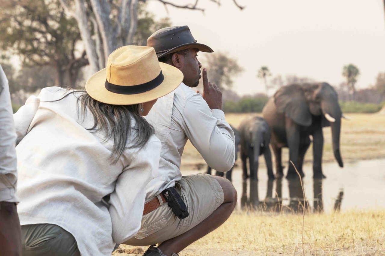 Expert safari guide leading walking safari and wildlife experience in Africa
