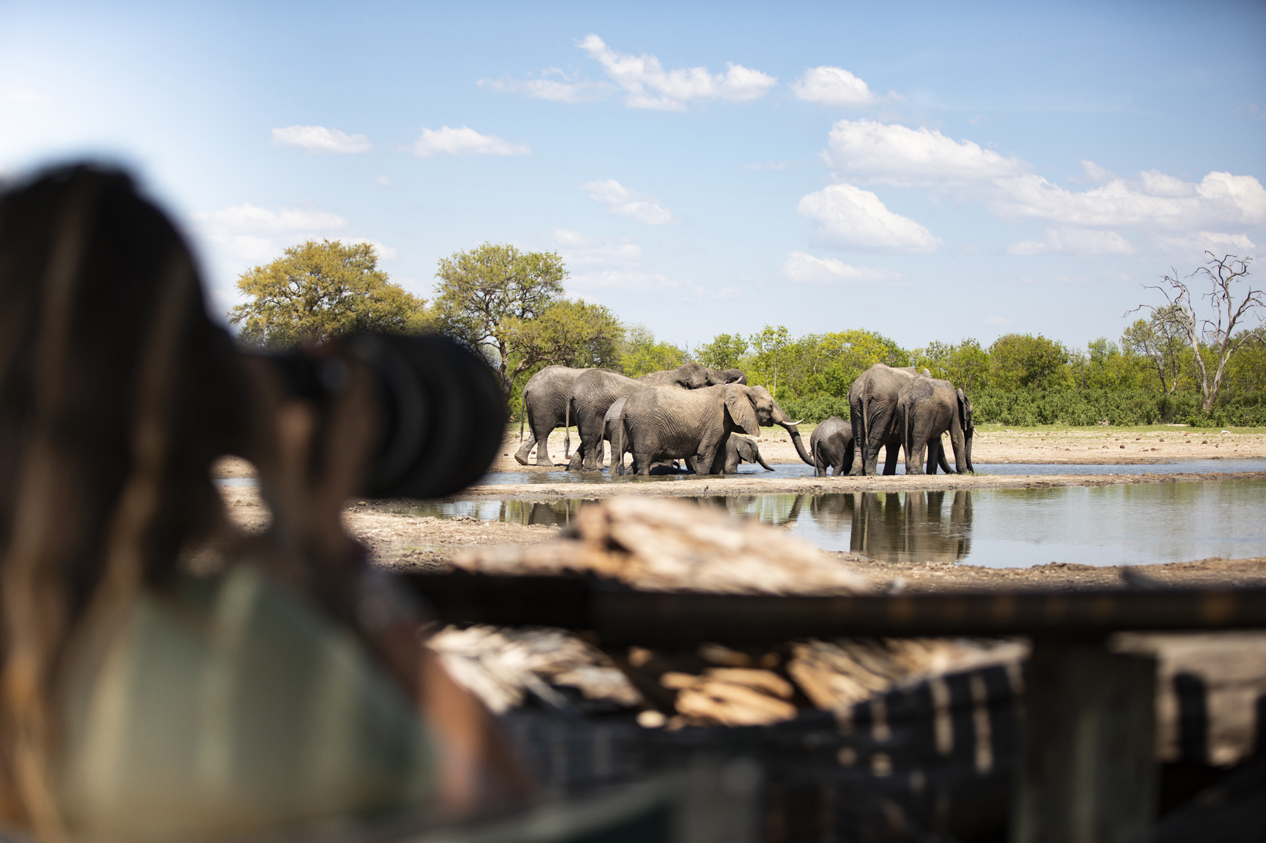 Photographer taking amazing close-up eye-level photos of elephants at a waterhole