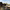 Photographer taking amazing close-up eye-level photos of elephants at a waterhole
